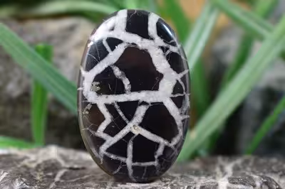 سپتارین مراکش اصل و طبیعی