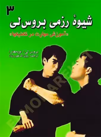 شیوه رزمی بروس‌ لی 3 (آموزش مهارت در تکنیک‌ها)