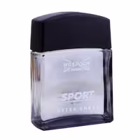 افتر شیو ویلکینسون مدل اسپرت حجم 100 میلی لیتر Aftershave Wilkinson Sport model, volume 100 ml