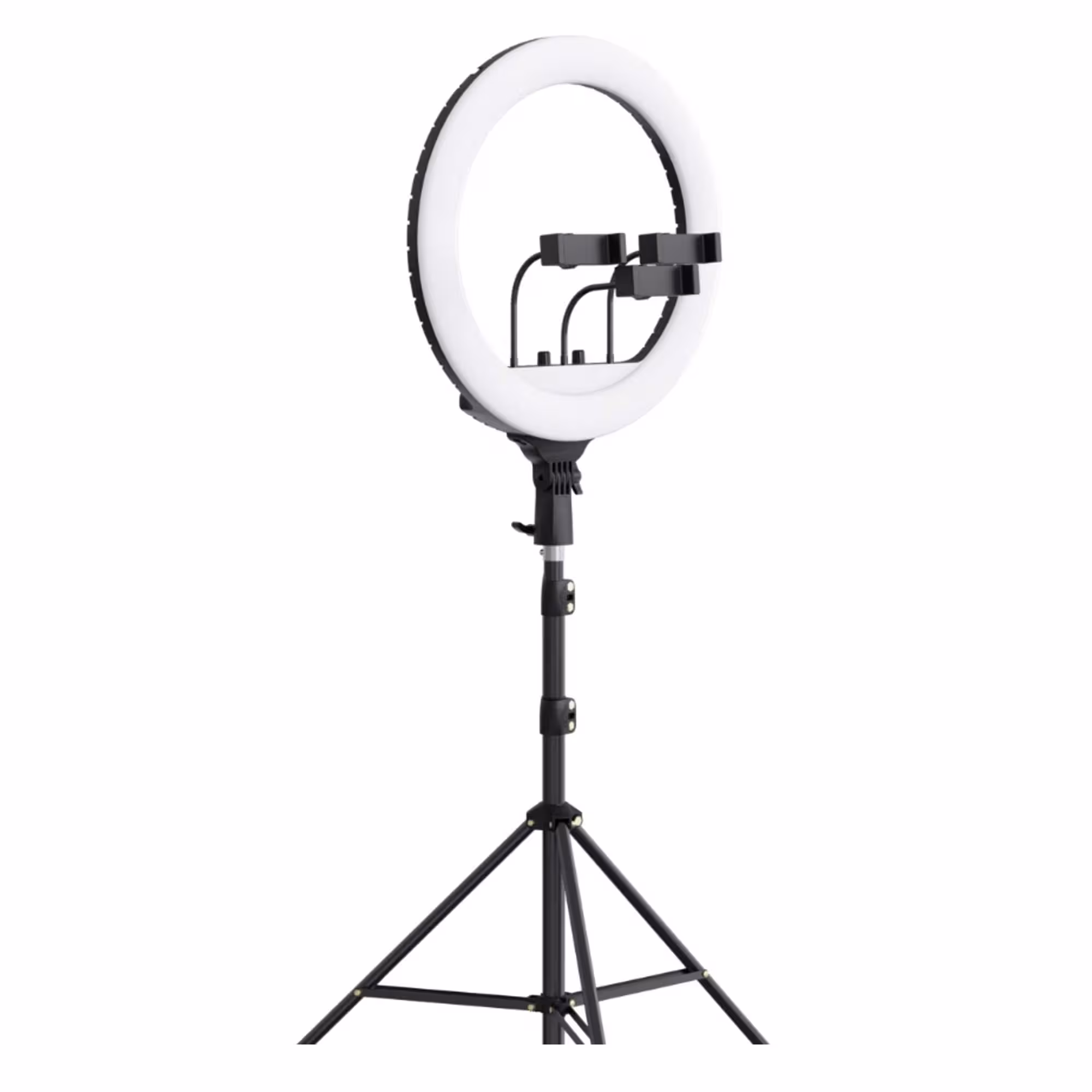 رینگ لایت بیوا  مدل Biva RL-02 65W  سایز 21 اینچ   همراه با سه پایهارسال رایگانBiva Ring Light Model Biva RL-02 65W Size 21 Inch   Comes with Tripod