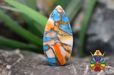 صدف خاردار ترکیبی