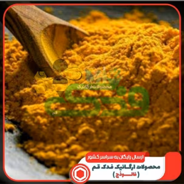 ادویه مخصوص همبرگر فدک (100گرم)