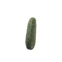 خرید بذر خیار خاردار ریز اصلاح شده بسته 10 عددی
