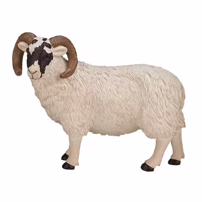 خرید فیگور قوچ Black Face Sheep Ram MOJO 387081