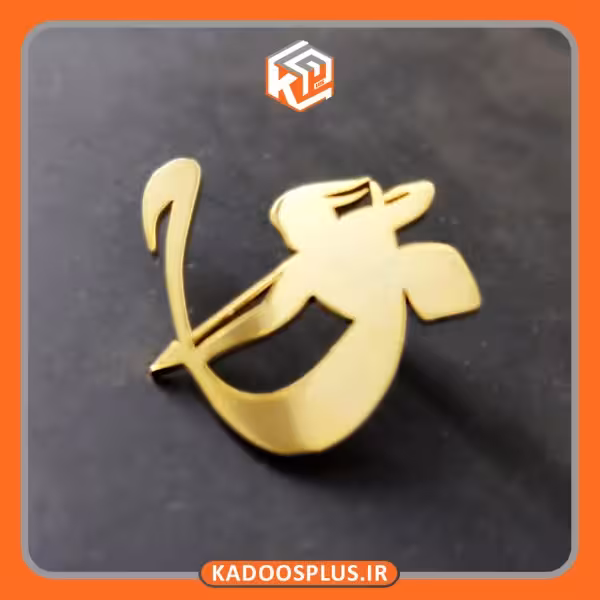 بج سینه اختصاصی