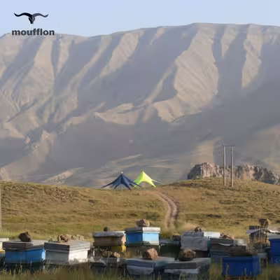 سایبان ستاره ای موفلان مدل استارتنت  St110m