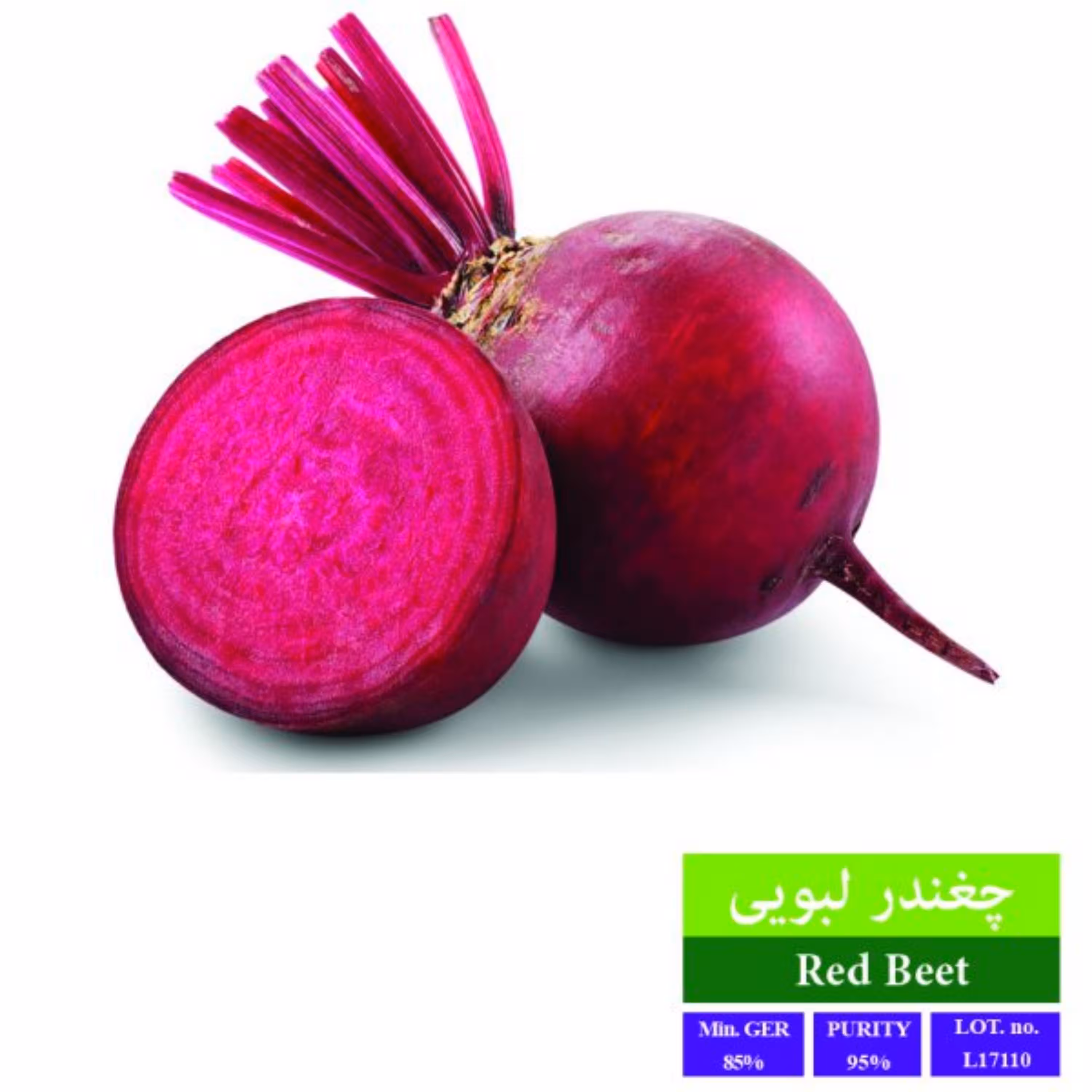 بذر چغندر لبویی بذر طلایی رویان 