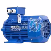 الکتروموتور ارسم ERCEM