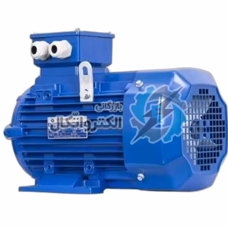 الکتروموتور ارسم ERCEM