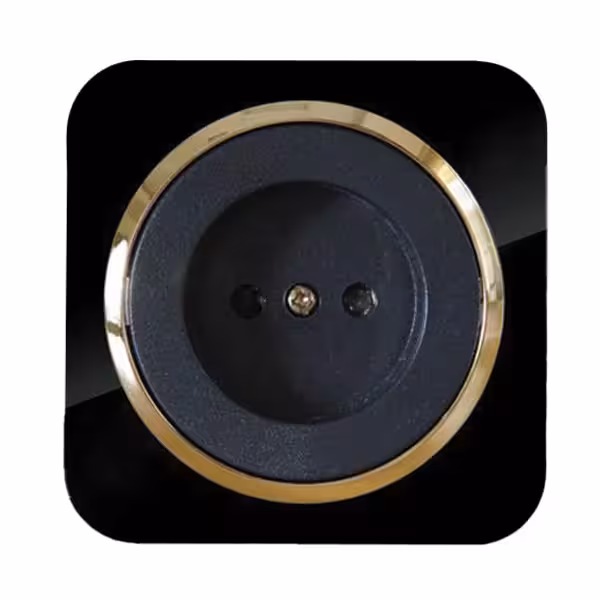 پریز برق محافظ دار آدا پلکسی مشکی زه طلایی دلند