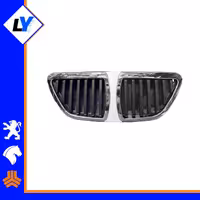 جلوپنجره تیبا طرح BMW کروم