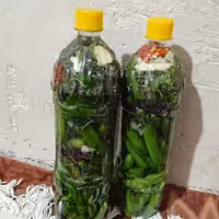 خیارشور اعلا