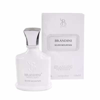عطر جیبی برندینی مدل Silver Mountain حجم 33 میلی لیتر