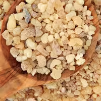 مصطکی مستکی خالص اصلی (پس کرایه)