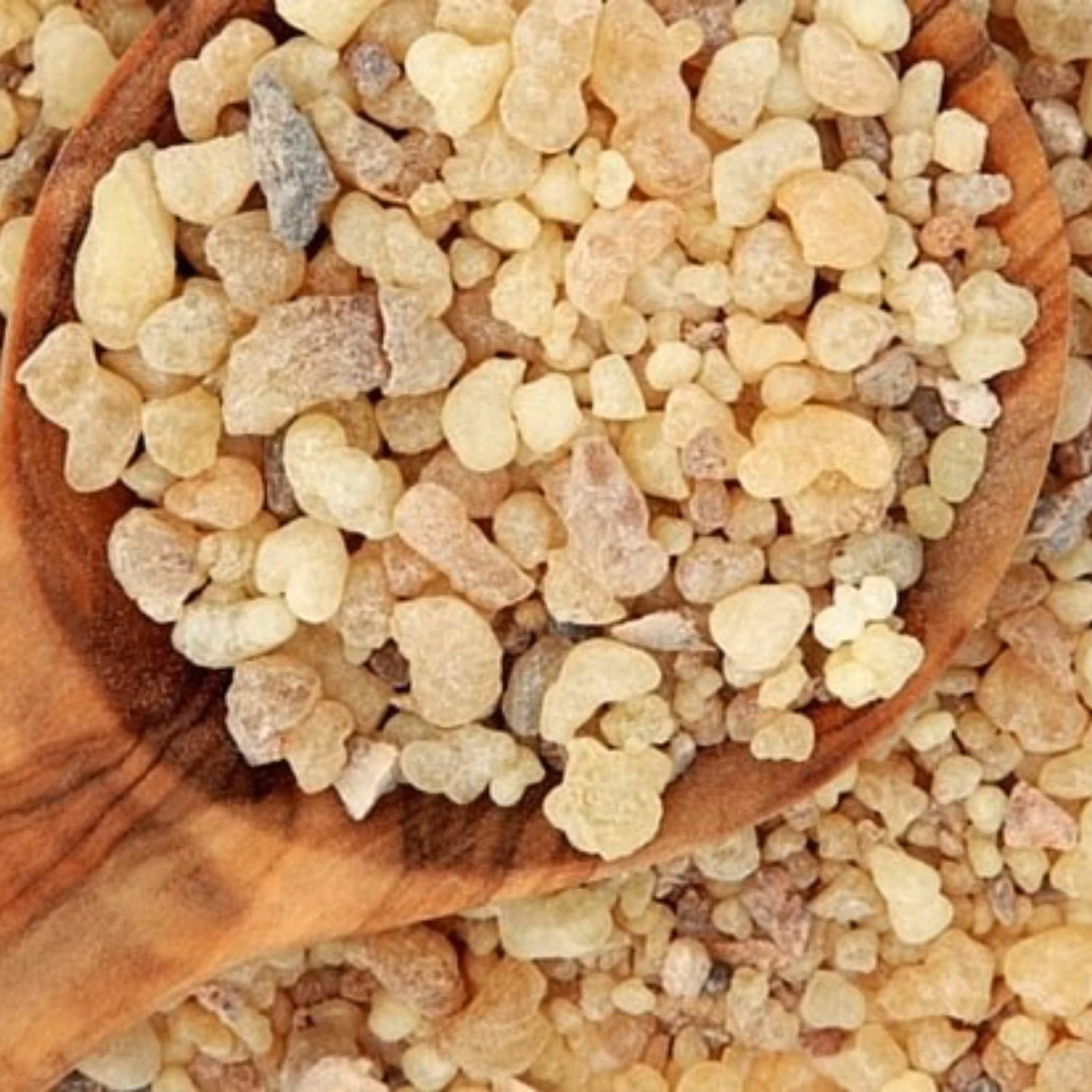 مصطکی مستکی خالص اصلی (پس کرایه)