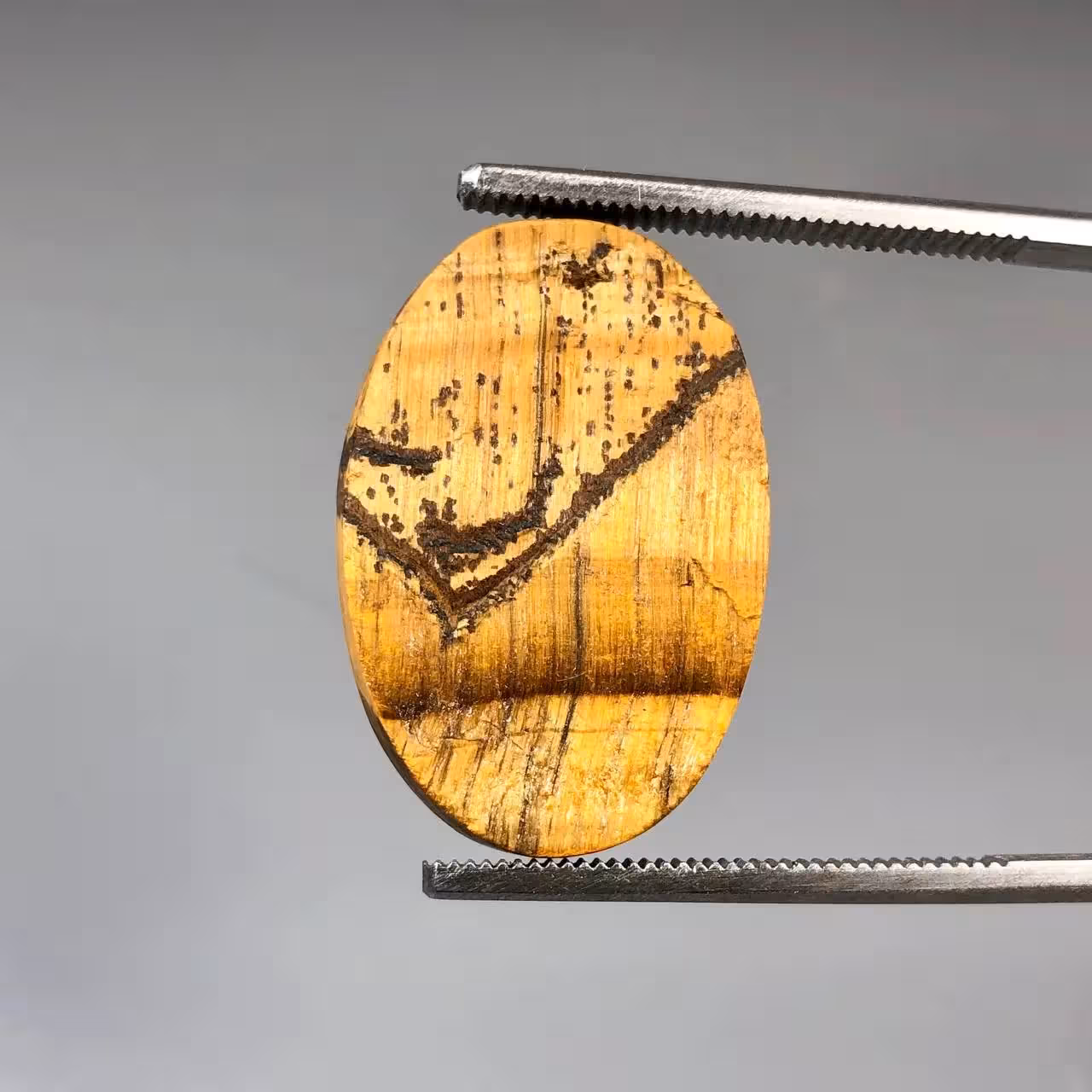 سنگ چشم ببر راف طبیعی پرتلالو 250929