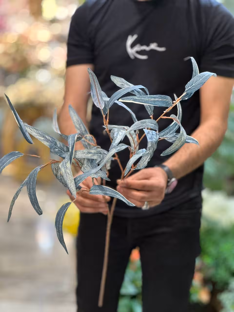 برگ بید مجنون ابی