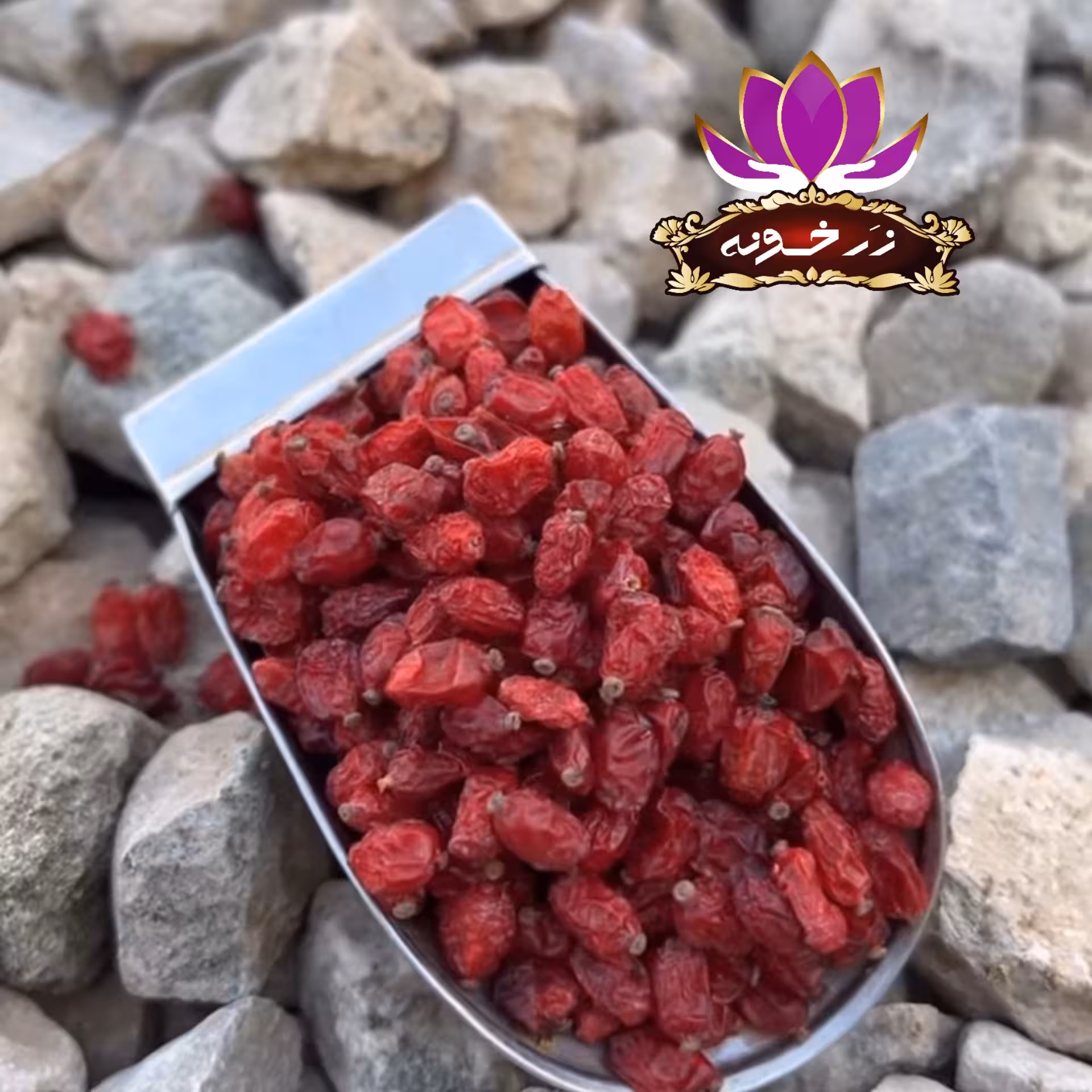 زرشک پفکی  اعلا  یک کیلویی (امسالی و تمیز)