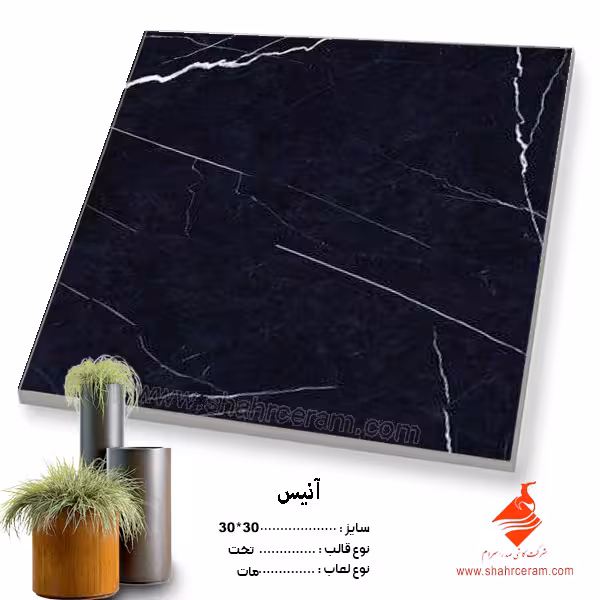 سرامیک آنیس 30*30 کاشی صدرا سرام
