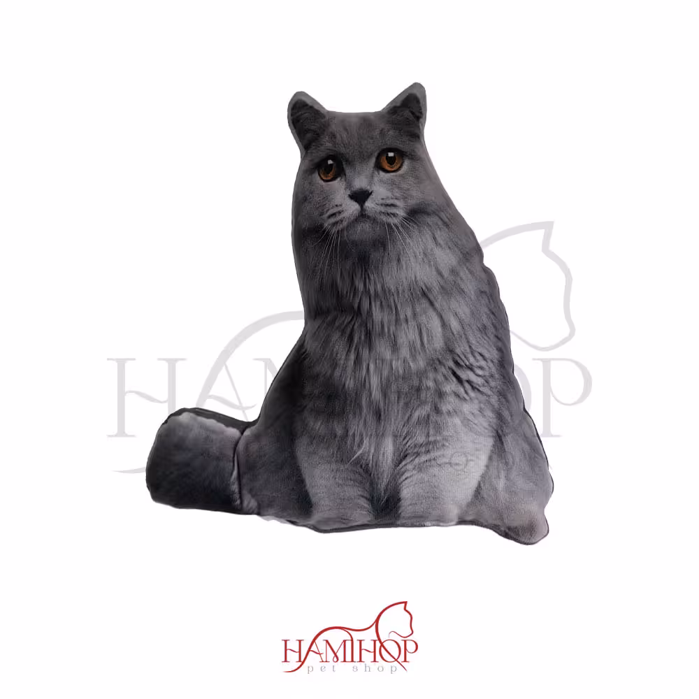 کوسن مدل فانتزی طرح گربه