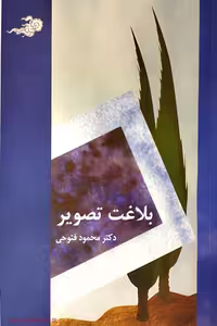 کتاب بلاغت تصویر نوشته محمود فتوحی