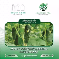 بذر خیار خاردار بابک پاکت 1000 عددی