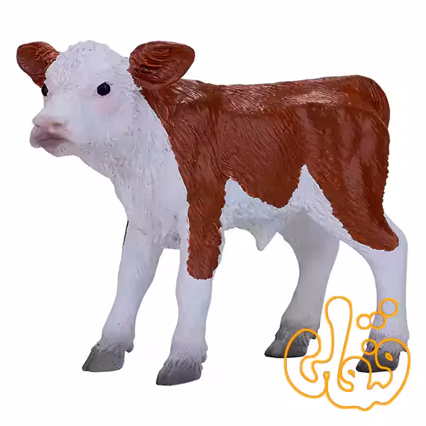 فیگور گوساله هرفورد موجو Hereford Calf 381075