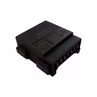تایمر چراغ سقف خودرو بی آی جی مدل RTP05 مناسب برای پژو 405 | کالا مکس