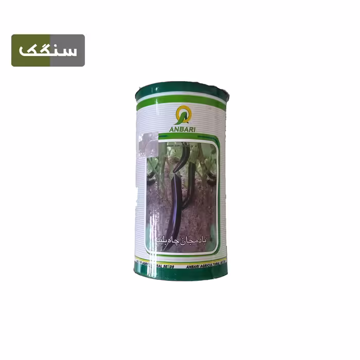 بذر بادمجان چاه بلند