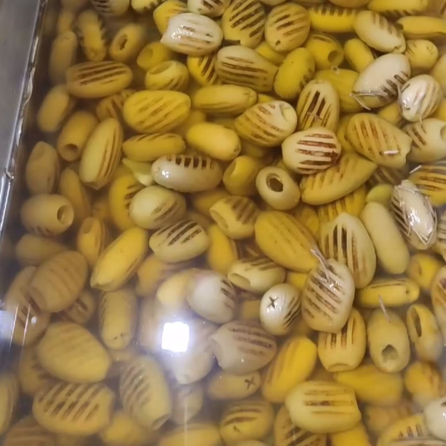 زیتون کبابی ساده روغنی 7 کیلویی