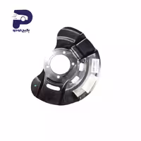 گردگیر فلزی دیسک چرخ جلو راست T21-3501078 چری