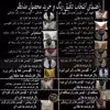 کوسن تیگران مفشوو کد bal1 مجموعه 3 عددی به همراه رانر