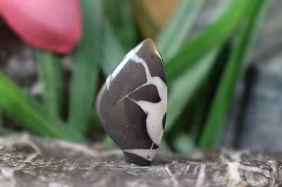 سپتارین مراکش اصل و طبیعی