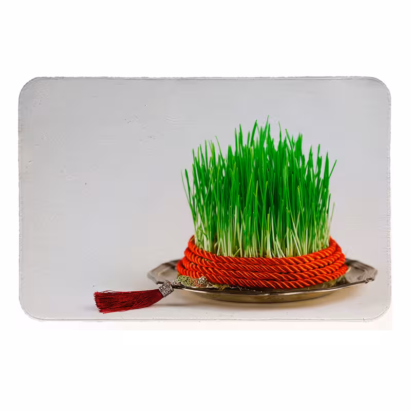 رطوبت گیر کنار سینک کد 5767 | کالا مکس