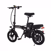 دوچرخه برقی گرین لاین Green Lion Electric Bike GBK-100 a