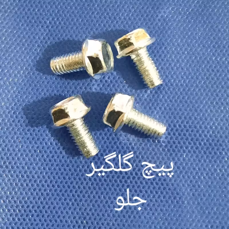 پیچ گلگیر جلو هنداست 4عددی | amazonchi