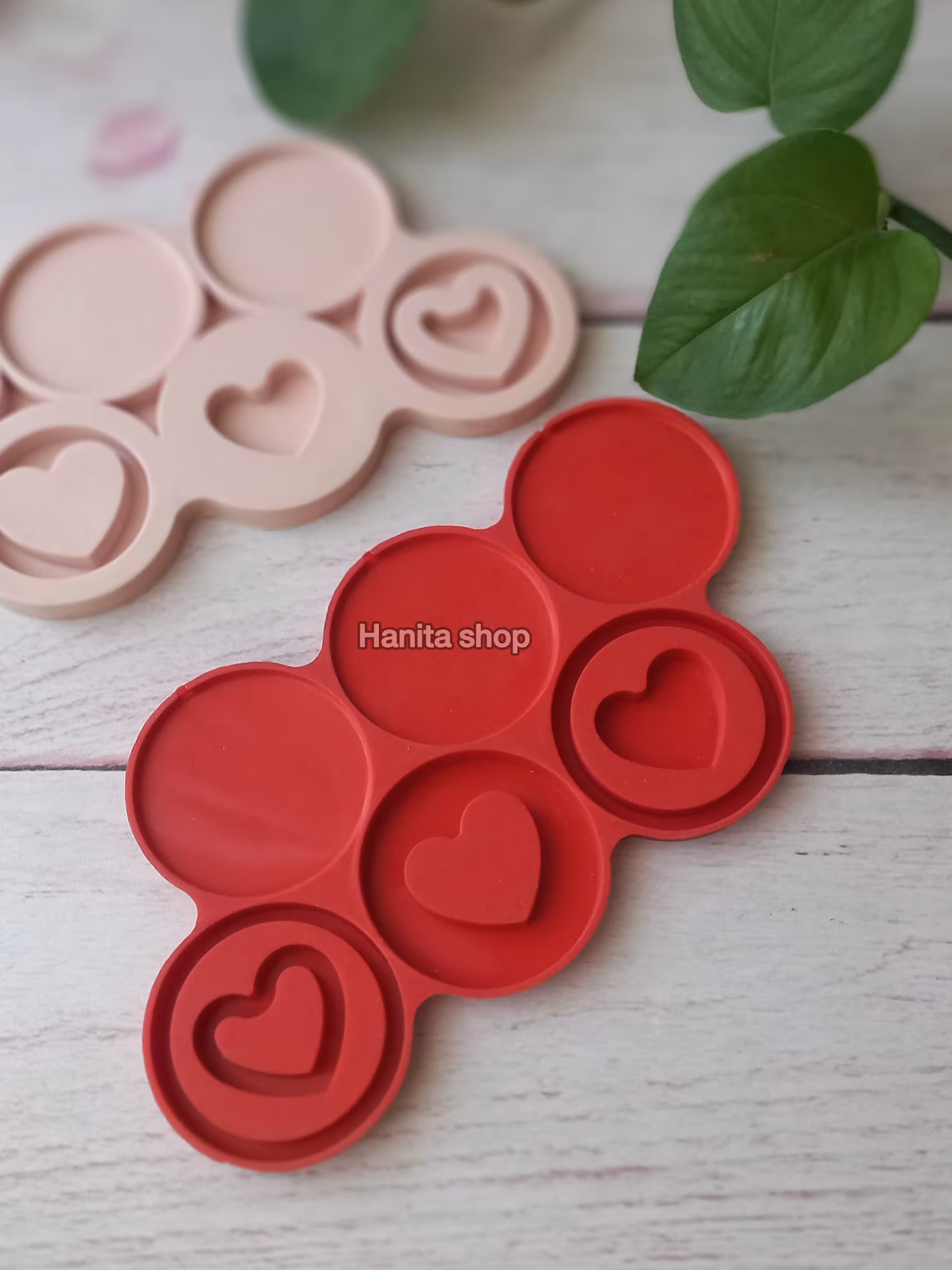 قالب سیلیکونی آبنبات شیکر قلب دایره