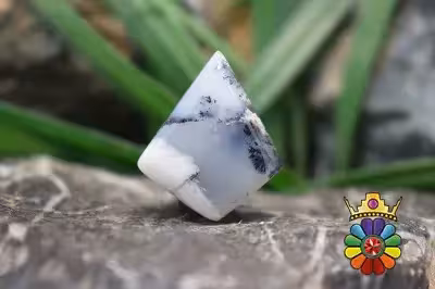 اپال دندریت