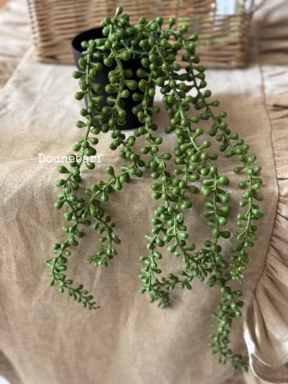 گلدان غوره