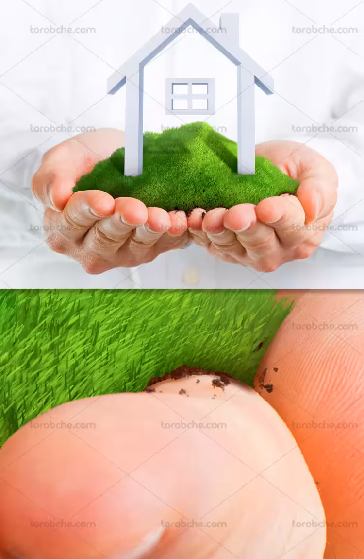 عکس مفهومی بیمه خانه | گرافیک با طعم تربچه