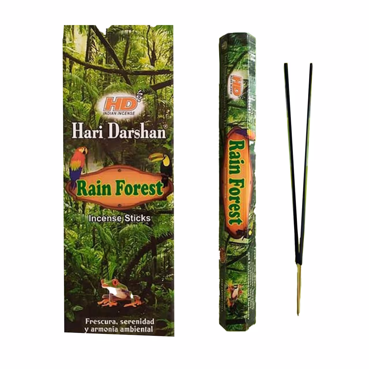 عود مخروطی هاری دارشان مدل جنگل بارانی