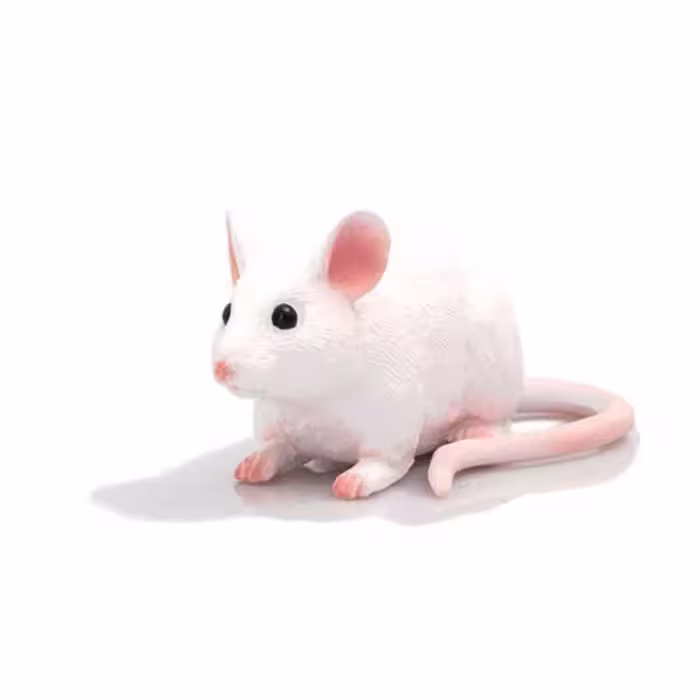 خرید فیگور موش Mouse mojo 387235