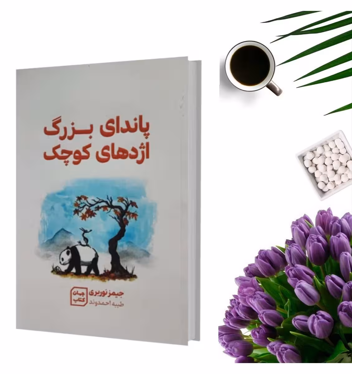 کتاب پاندای بزرگ اژدهای کوچک اثر جیمز نوربری انتشارات جهان کتاب