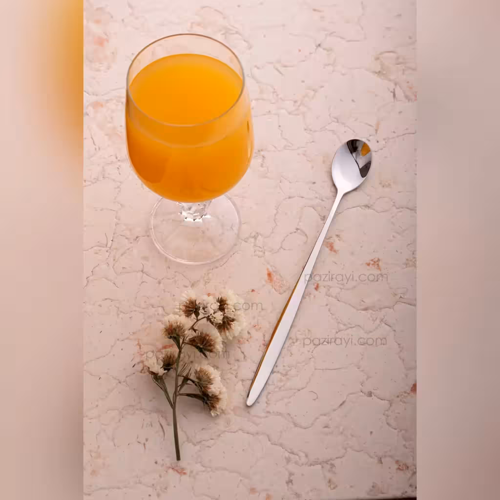 قاشق شربت 6 پارچه رولنزا مدل A42