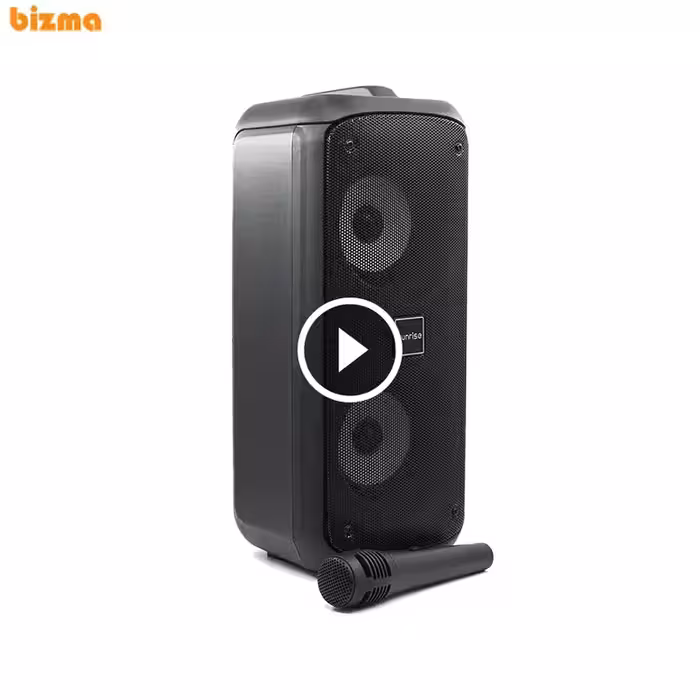 اسپیکر بلوتوثی قابل حمل سانرایز مدل Mini Box 300