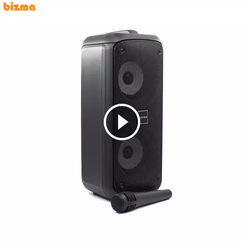 اسپیکر بلوتوثی قابل حمل سانرایز مدل Mini Box 300