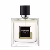 ادو پرفیوم مردانه پریمیر نوت مدل DOLCE GABBANA The One حجم 100 میلی لیتر
