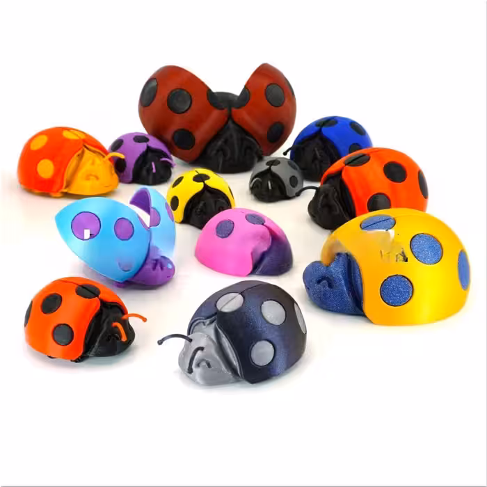 مدل سه بعدی کفشدوزک متحرک (slt)