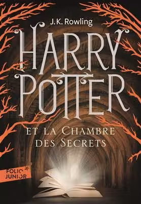 کتاب رمان فرانسوی هری پاتر Harry Potter – Tome 2 : Harry Potter et la Chambre des Secrets