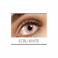 لنز  فلش (فصلی) رنگ نقره ای خاکستری – Ecru White